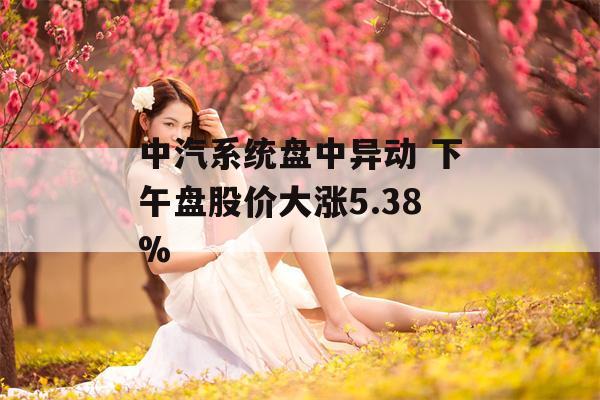 中汽系统盘中异动 下午盘股价大涨5.38%